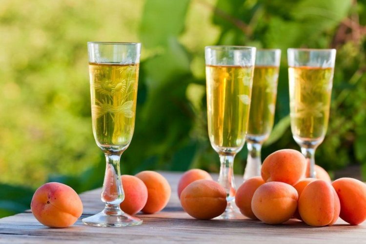 Вино из абрикосов с винным дрожжами